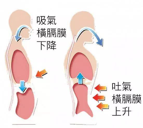 呼吸；呼吸??；肺氣腫；肺病；鍛煉